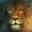 LeonMD