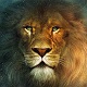 LeonMD