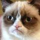 Dave_Jales