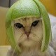 kemaru