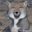 Fox-ES
