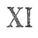 kevinnx