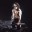 Eric_Draven