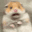 arkstrife