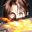 Squallx19