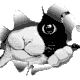 Bouya
