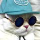 Ogfanboy