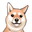 HVK