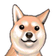 HVK