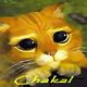 Chakaly