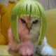 michi