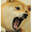 Dabeeef