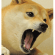 Dabeeef