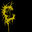 Ceffalotomia