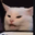 noTwigZz