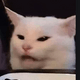 noTwigZz