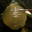 vare345p
