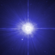 Procyon