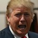 Trumpnotwon