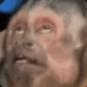 Krupo