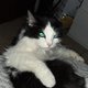 Lucifer2113