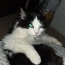 Lucifer2113