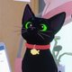 FlowCat