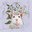 Algernon
