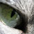 DrEAM_CsS