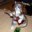 Vacutainer