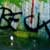 BecK