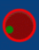 plankton