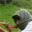 LeMoRiZ