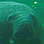 Miembrillo